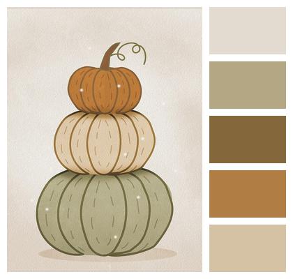 Beautiful Wallpaper Pumpkin October Pumpkins Image