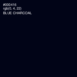 #000416 - Blue Charcoal Color Image