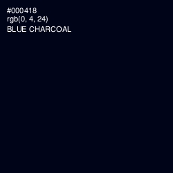 #000418 - Blue Charcoal Color Image