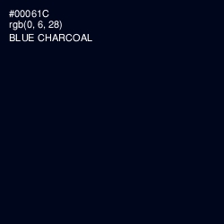 #00061C - Blue Charcoal Color Image