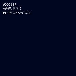 #00061F - Blue Charcoal Color Image
