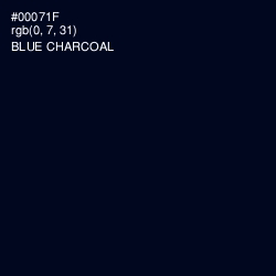 #00071F - Blue Charcoal Color Image