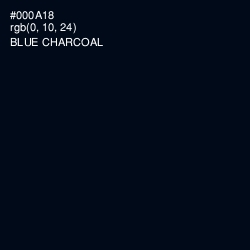 #000A18 - Blue Charcoal Color Image