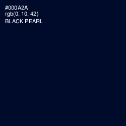 #000A2A - Black Pearl Color Image