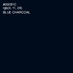 #000B1C - Blue Charcoal Color Image