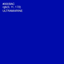 #000BAC - Ultramarine Color Image