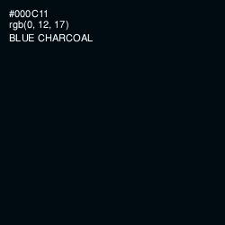 #000C11 - Blue Charcoal Color Image