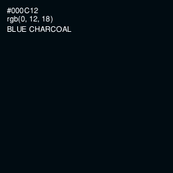 #000C12 - Blue Charcoal Color Image