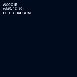 #000C1E - Blue Charcoal Color Image