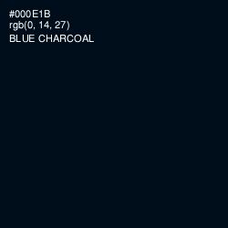 #000E1B - Blue Charcoal Color Image