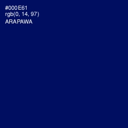 #000E61 - Arapawa Color Image