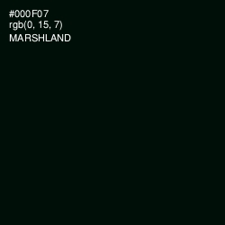 #000F07 - Marshland Color Image