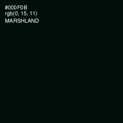 #000F0B - Marshland Color Image