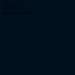 #000F1C - Blue Charcoal Color Image