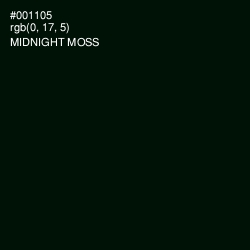 #001105 - Midnight Moss Color Image