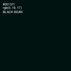 #001311 - Black Bean Color Image