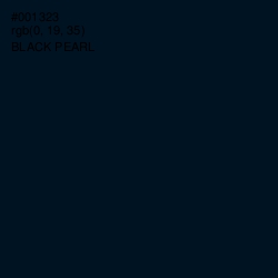 #001323 - Black Pearl Color Image