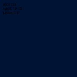 #001334 - Midnight Color Image