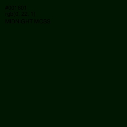 #001601 - Midnight Moss Color Image