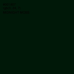 #001807 - Midnight Moss Color Image