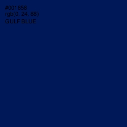 #001858 - Gulf Blue Color Image