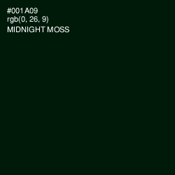 #001A09 - Midnight Moss Color Image