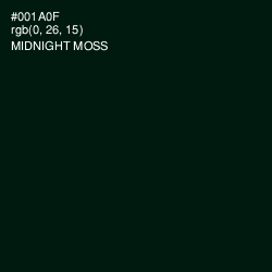 #001A0F - Midnight Moss Color Image