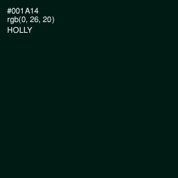 #001A14 - Holly Color Image