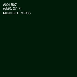 #001B07 - Midnight Moss Color Image