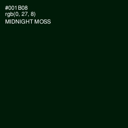 #001B08 - Midnight Moss Color Image