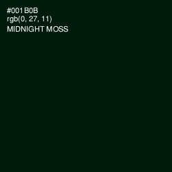 #001B0B - Midnight Moss Color Image
