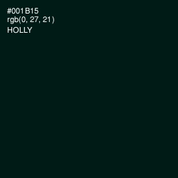 #001B15 - Holly Color Image