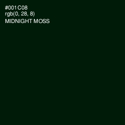 #001C08 - Midnight Moss Color Image