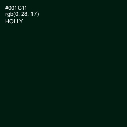 #001C11 - Holly Color Image