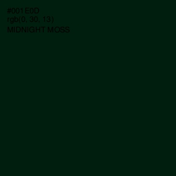 #001E0D - Midnight Moss Color Image