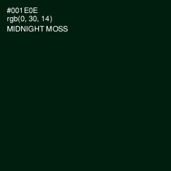 #001E0E - Midnight Moss Color Image