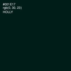 #001E17 - Holly Color Image