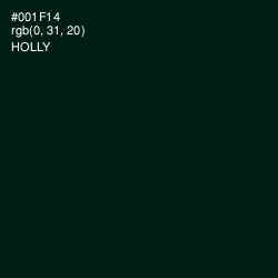 #001F14 - Holly Color Image