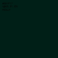 #001F17 - Holly Color Image