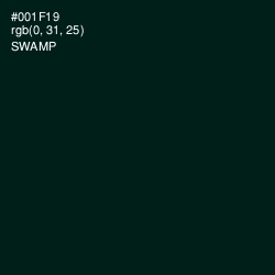 #001F19 - Swamp Color Image