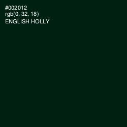 #002012 - English Holly Color Image