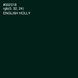 #002018 - English Holly Color Image