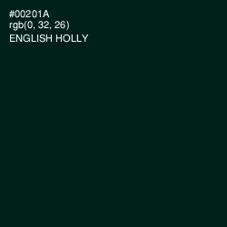 #00201A - English Holly Color Image