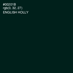 #00201B - English Holly Color Image