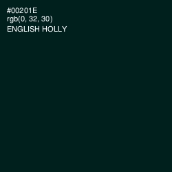 #00201E - English Holly Color Image