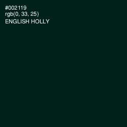 #002119 - English Holly Color Image