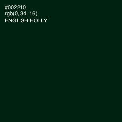 #002210 - English Holly Color Image