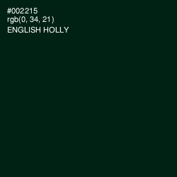 #002215 - English Holly Color Image