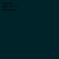 #002229 - Burnham Color Image