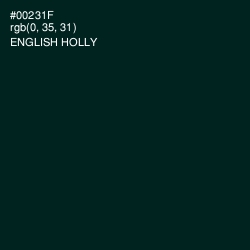 #00231F - English Holly Color Image